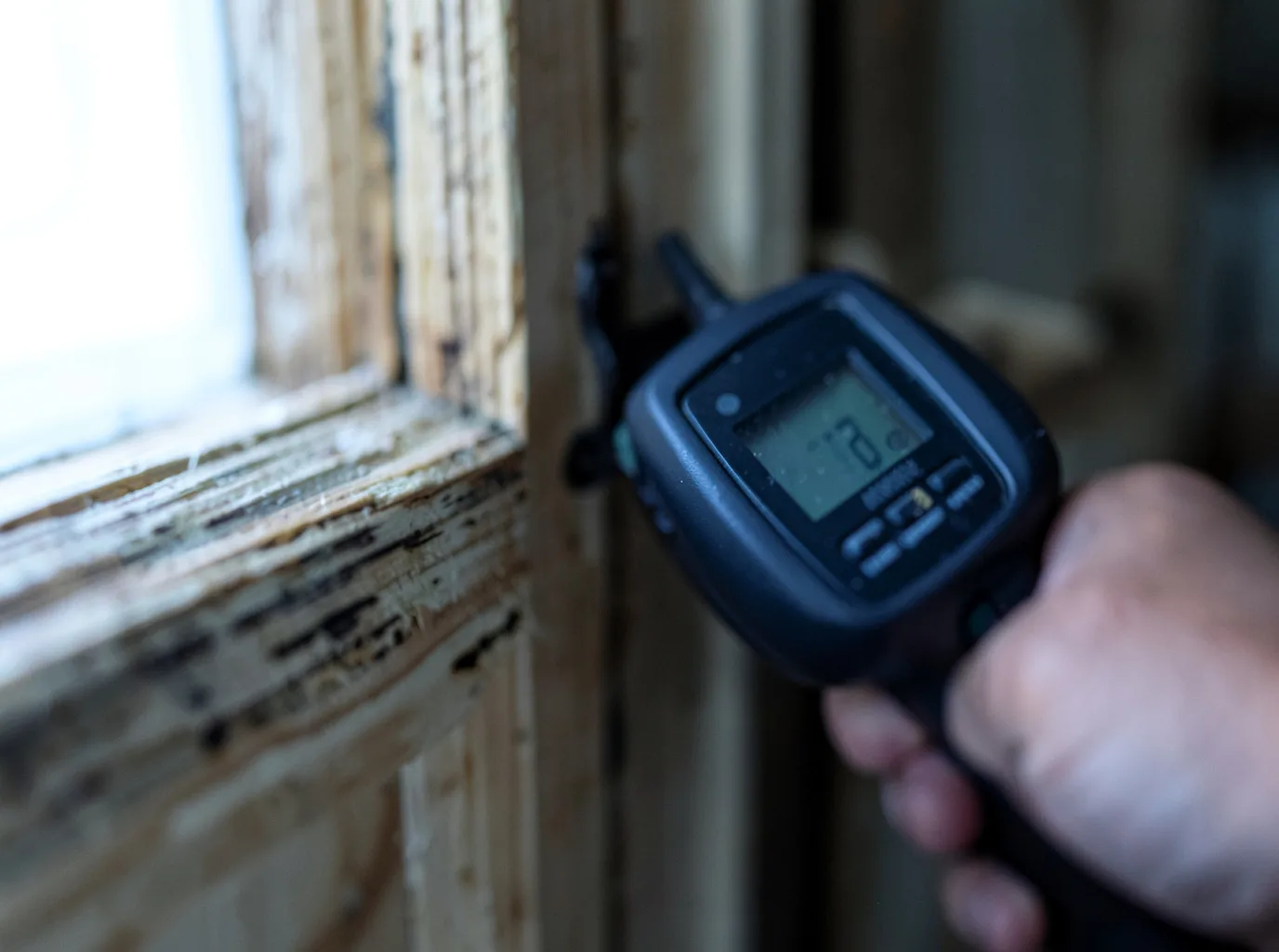 Commercial Water Damage Restoration in Greenwald, MN